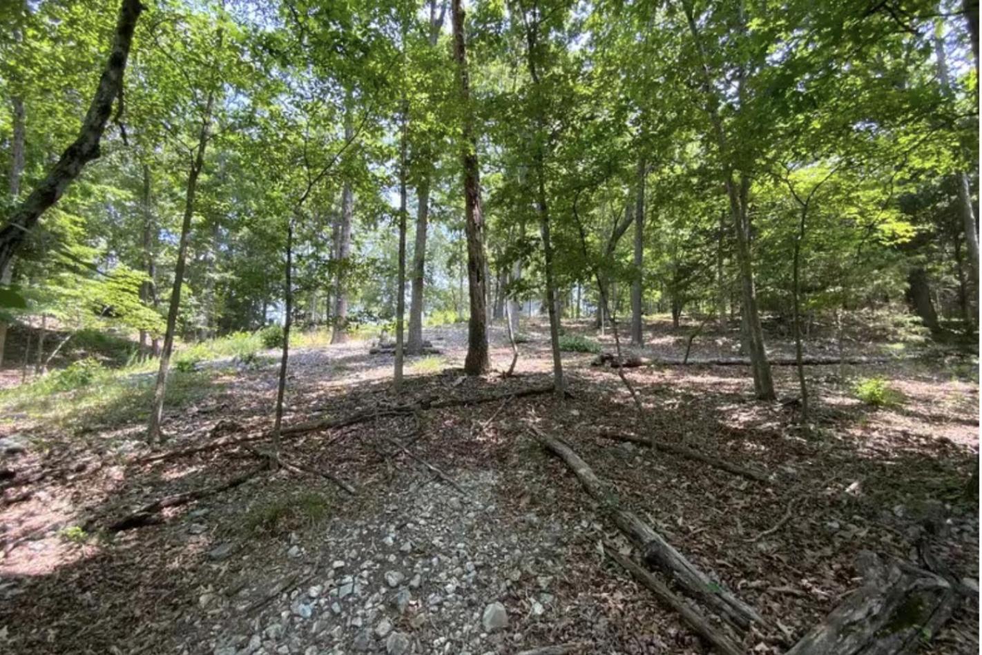 Driftwood Resort Bull Shoals Bagian luar foto