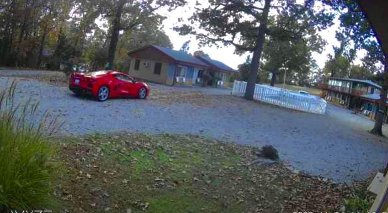 Driftwood Resort Bull Shoals Bagian luar foto