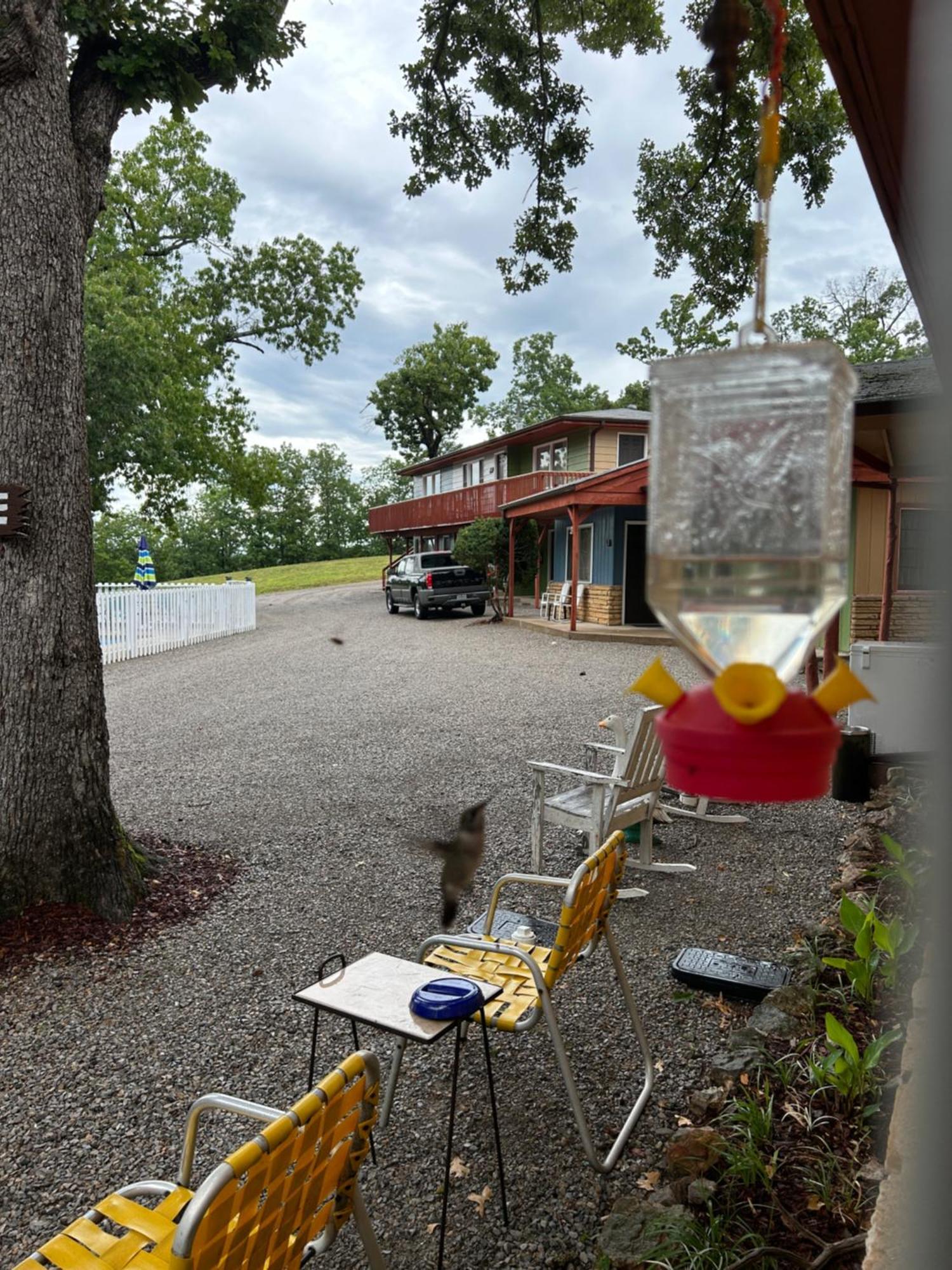 Driftwood Resort Bull Shoals Bagian luar foto